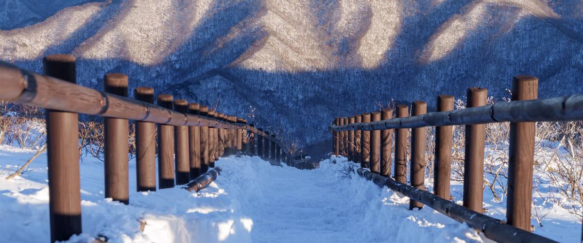 Muju resort Snow flake covered tree at Muju deogyusan ski resort in at deogyusan mountain in muju city south Korea