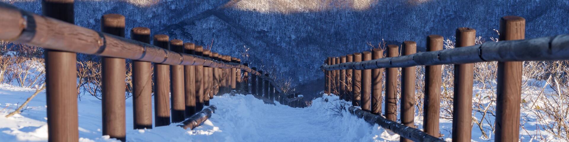Muju resort Snow flake covered tree at Muju deogyusan ski resort in at deogyusan mountain in muju city south Korea