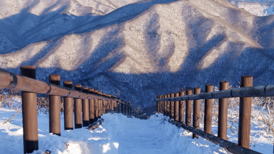 Muju resort Snow flake covered tree at Muju deogyusan ski resort in at deogyusan mountain in muju city south Korea