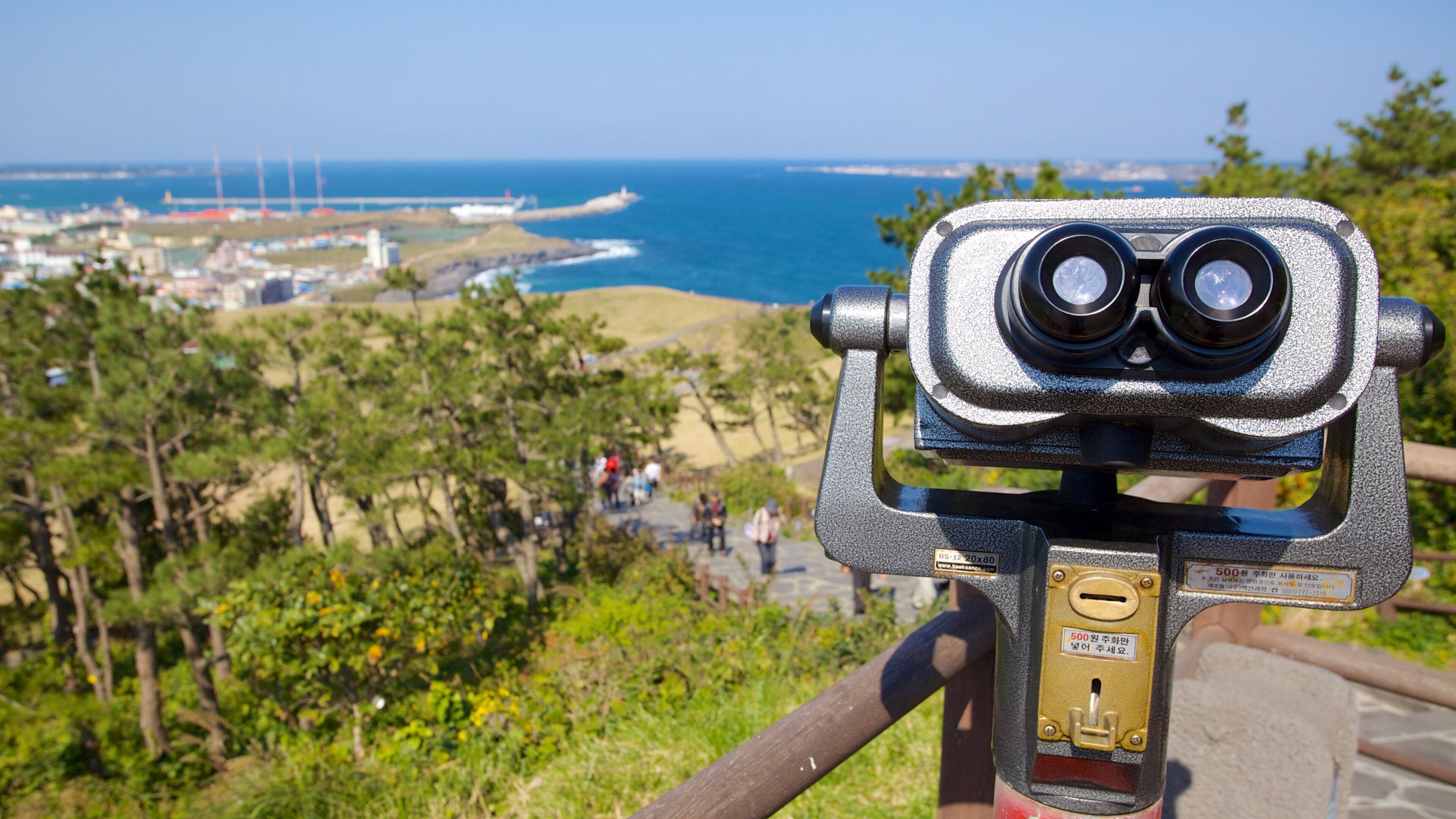 Seongsan Ilchulbong featuring landscape views, views and general coastal views