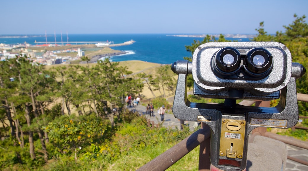 Seongsan Ilchulbong featuring landscape views, views and general coastal views