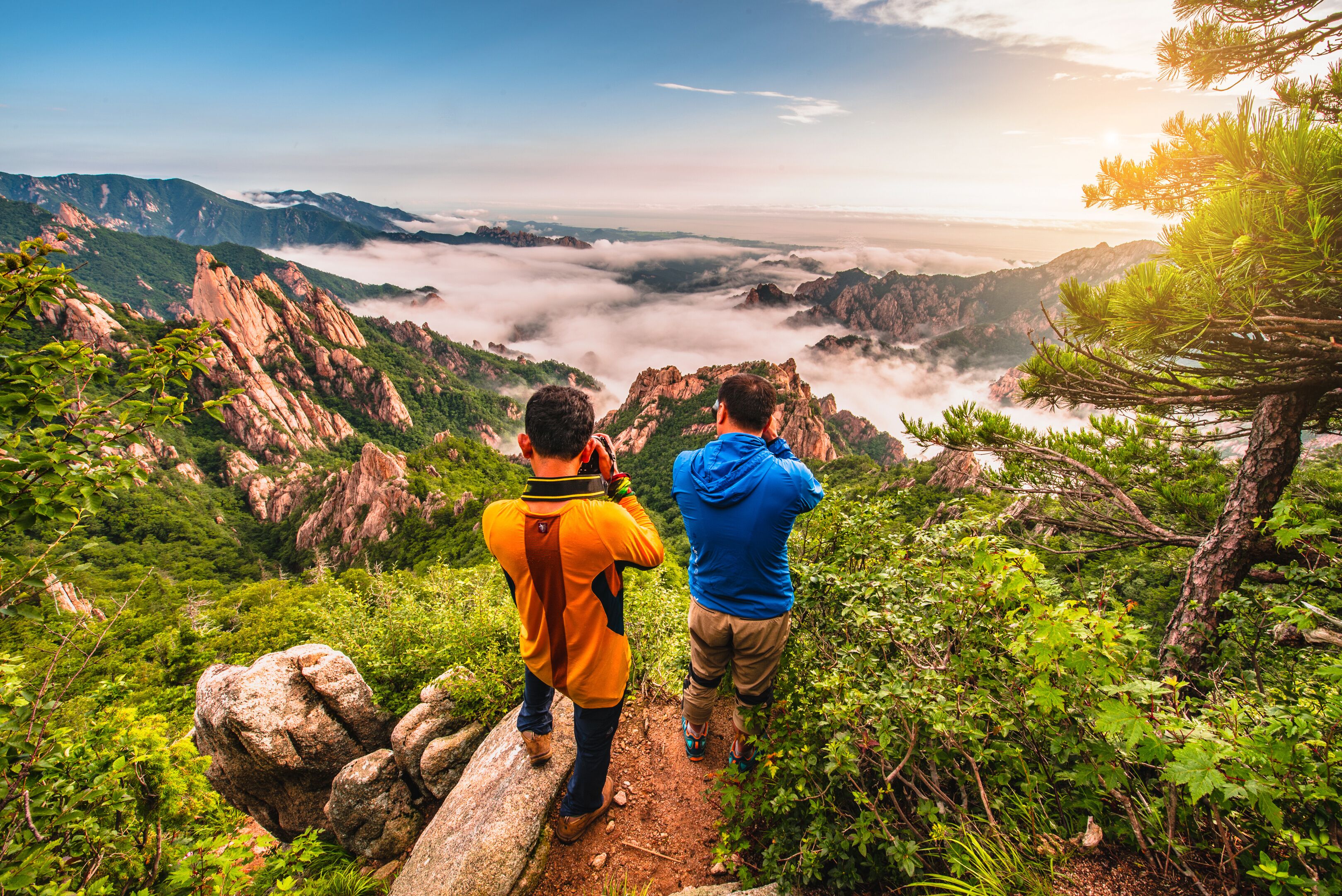 Beautiful scenery with morning mist on the summit of Sorakshan in South Korea