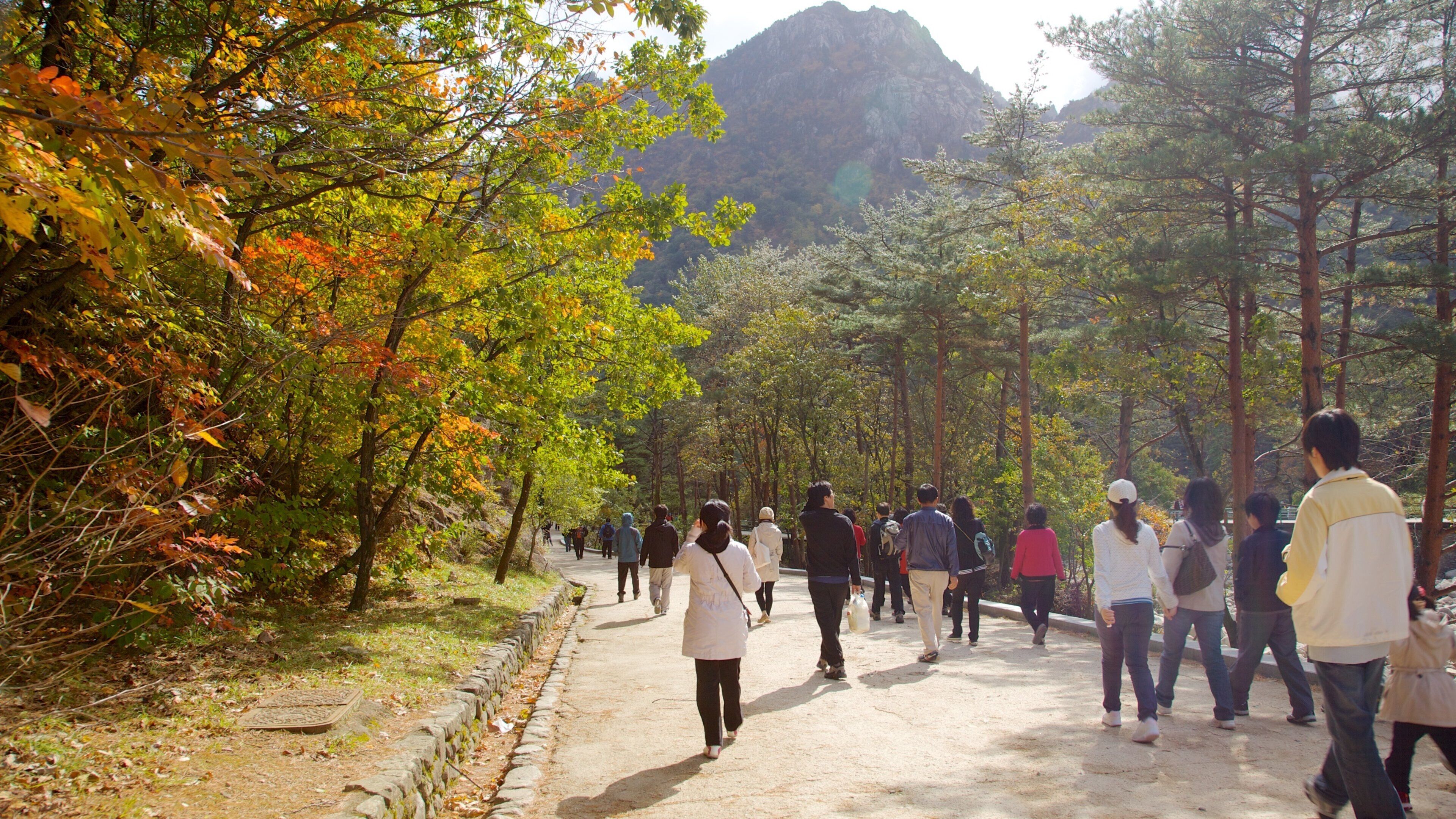 Seorak-san nasjonalpark fasiliteter samt vandring eller fottur, høstfarger og fjell