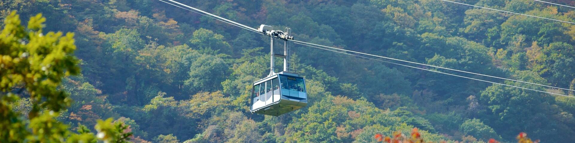 A cable car suspended over a forested mountain.
