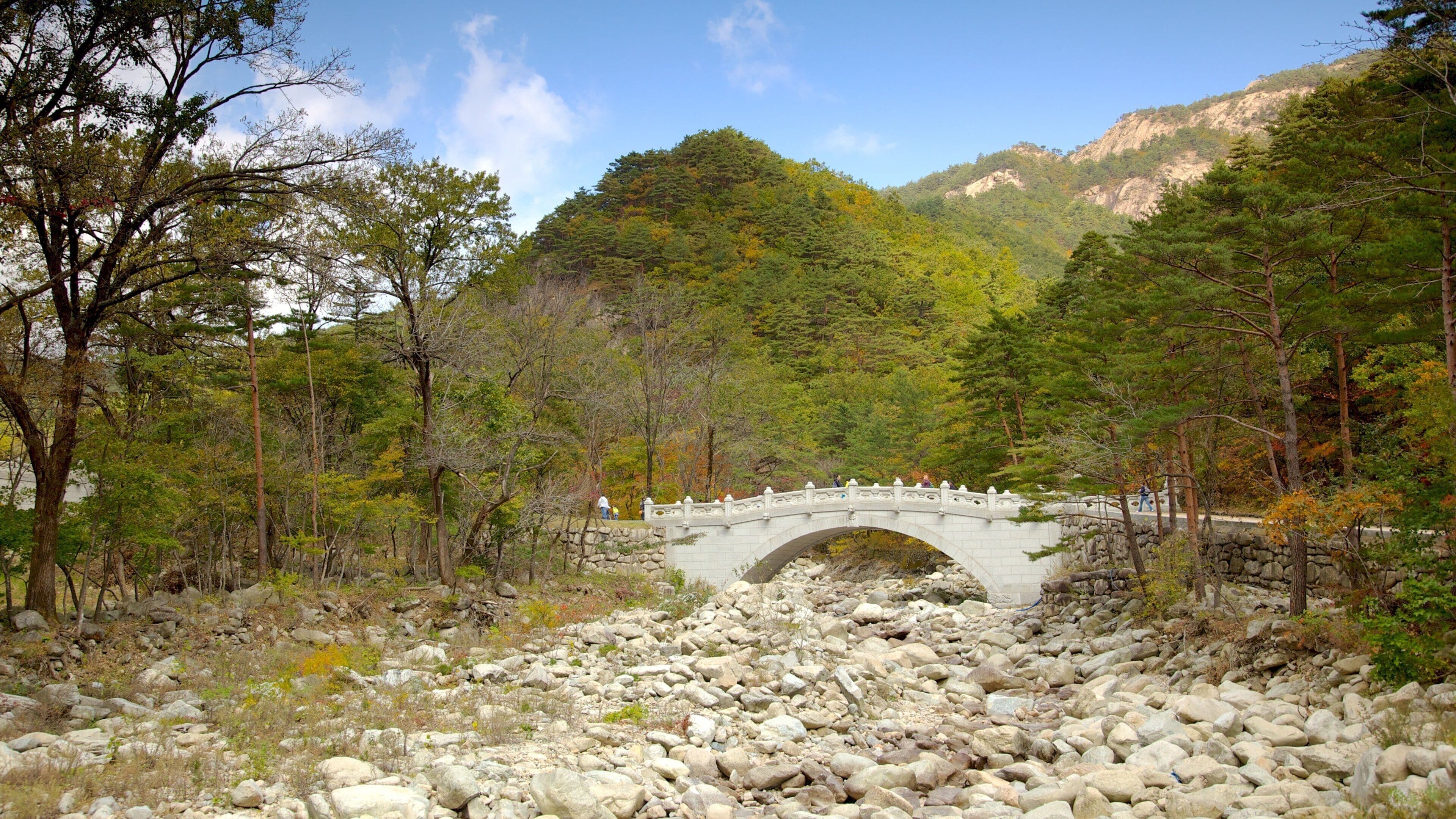설악산 국립공원 을 특징 공원, 다리 과 산