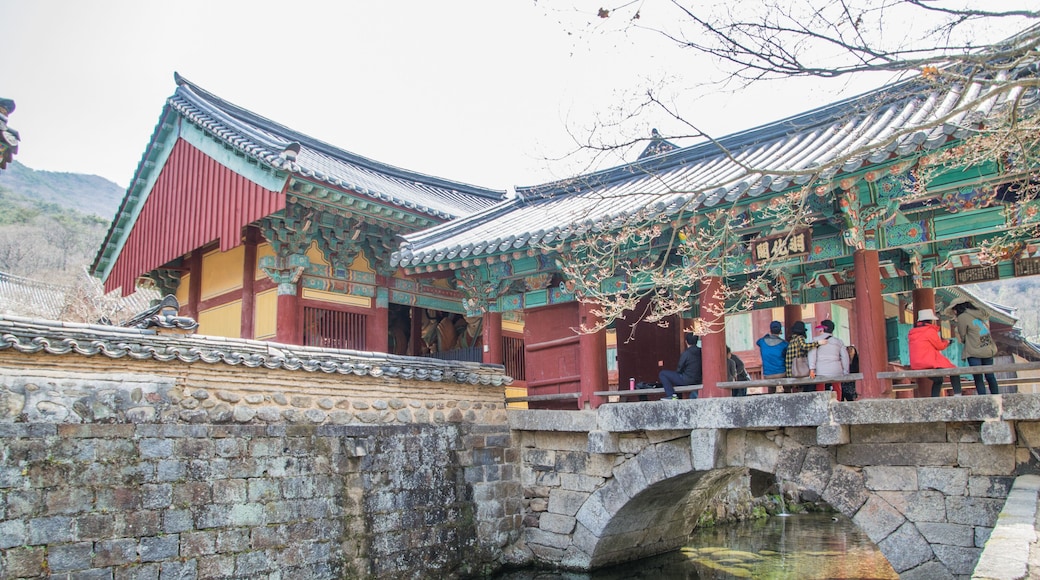 Songgwangsa Temple, Suncheon; Shutterstock ID 1119939230; Purchase Order: -