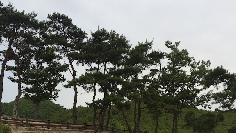 old temple is called "Unju-sa" in Jeon-nam hwa soon.