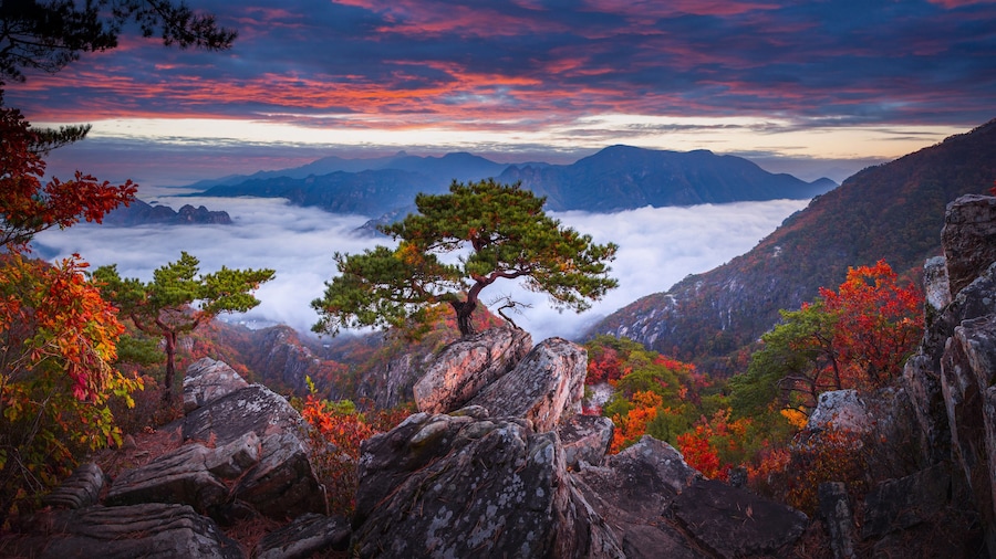 Parc National Woraksan