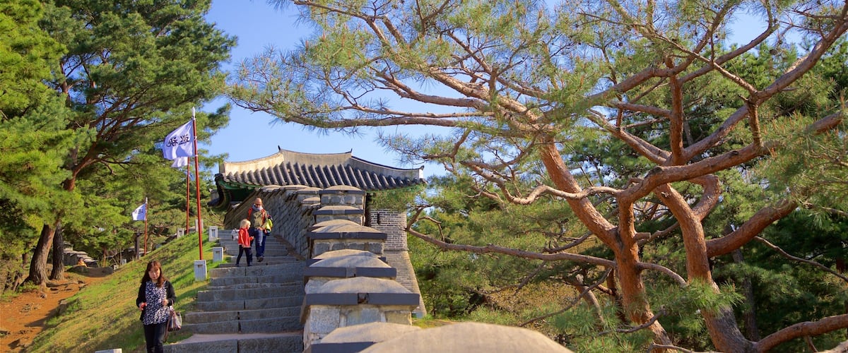 華城行宮 呈现出 傳統元素 和 公園 以及 一小群人