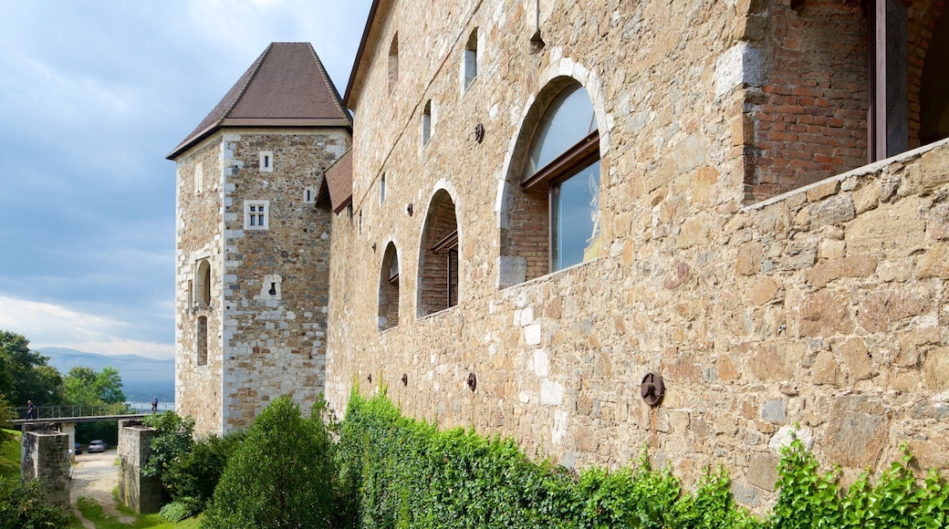 Ljubljanas slott som visar historisk arkitektur