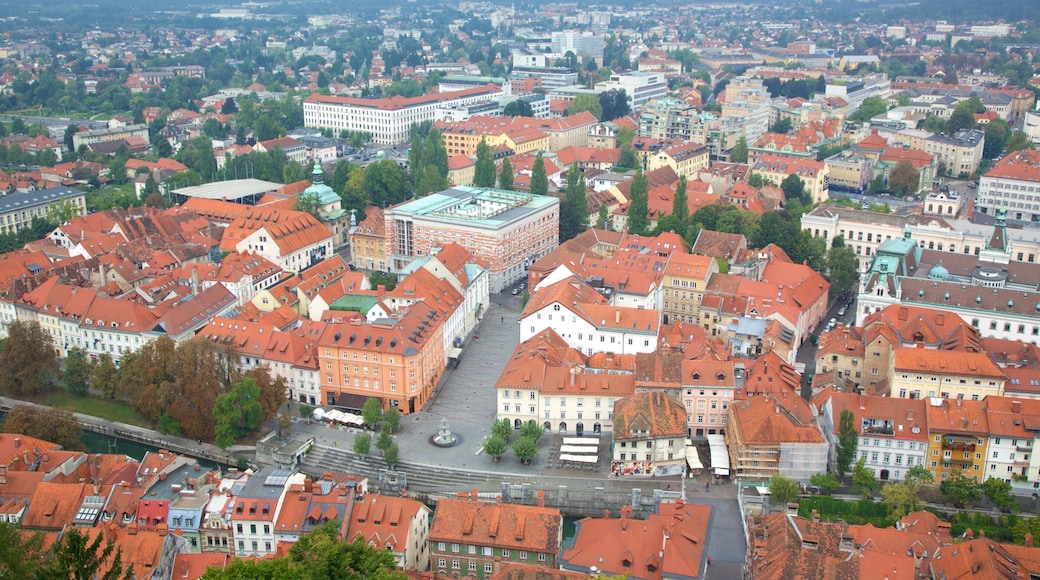 Ljubljana Castle inclusief een stad en kasteel of paleis