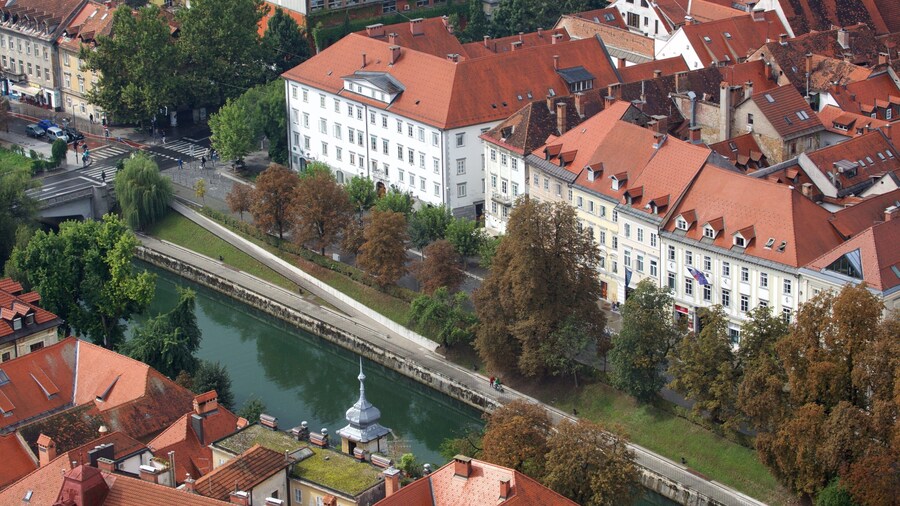 Castillo de Ljubljana mostrando un río o arroyo, una ciudad y castillo o palacio