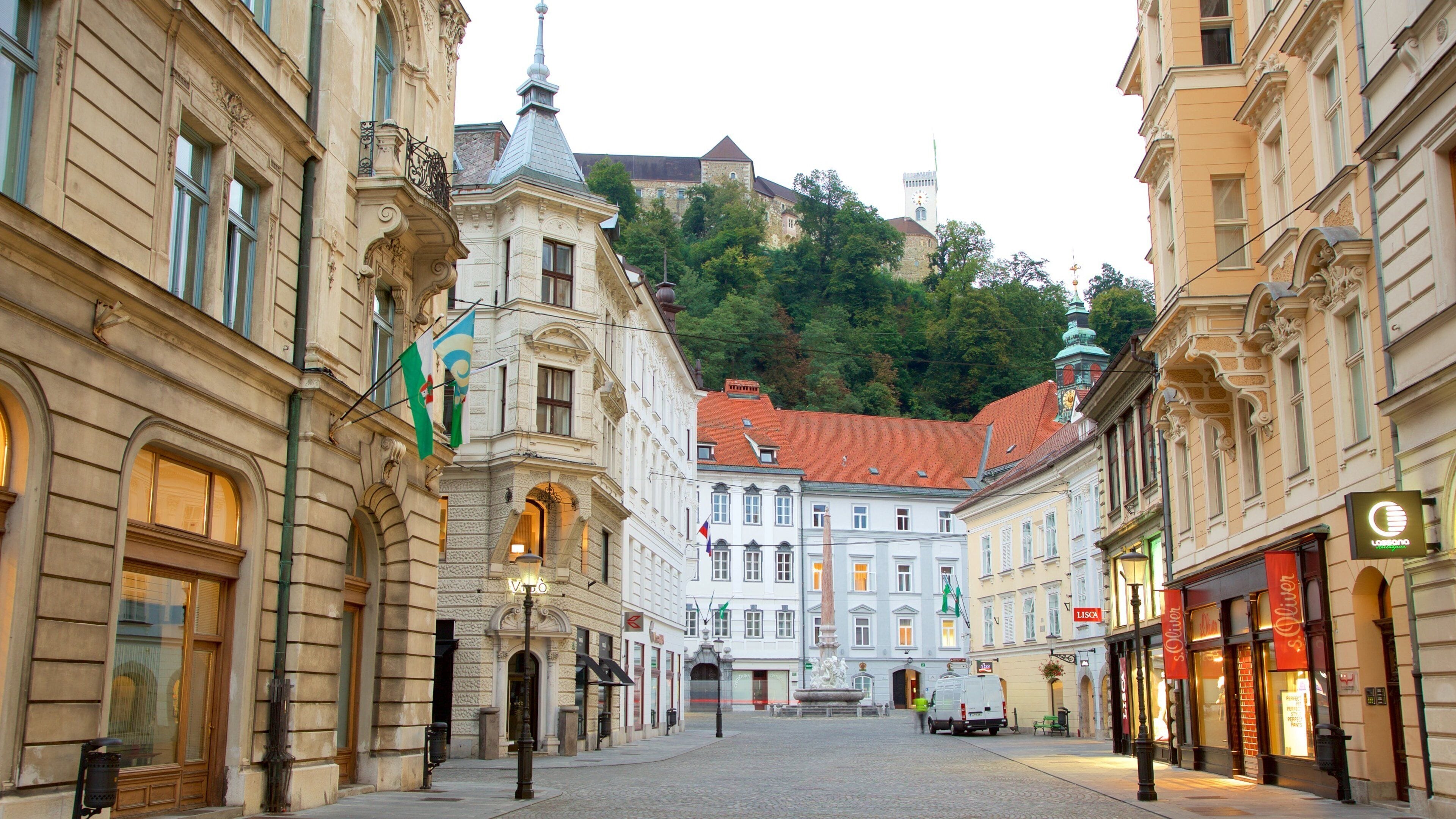 Ljubljana Castle which includes street scenes, a city and chateau or palace