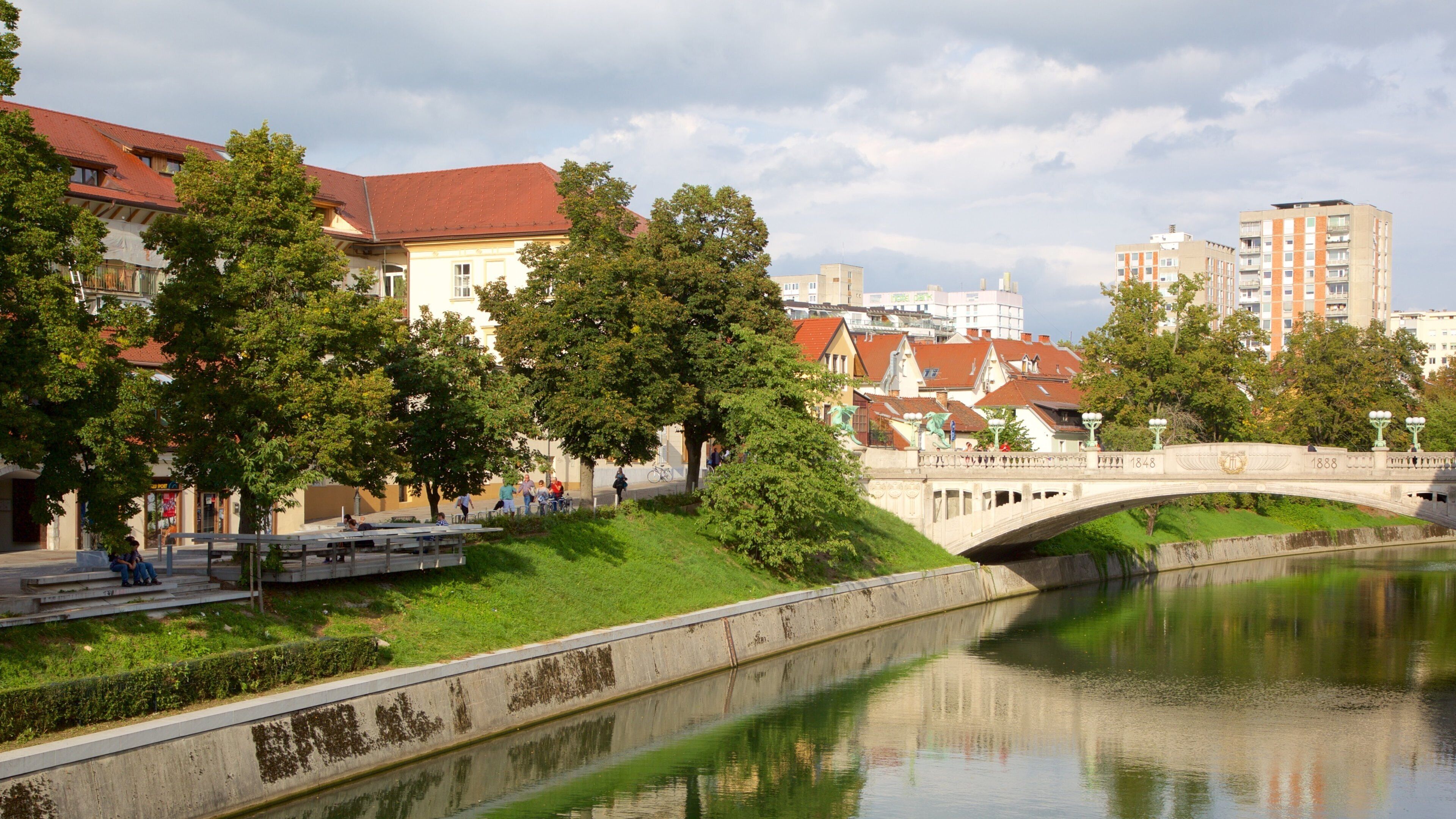 Dragon Bridge showing a river or creek, a city and a bridge