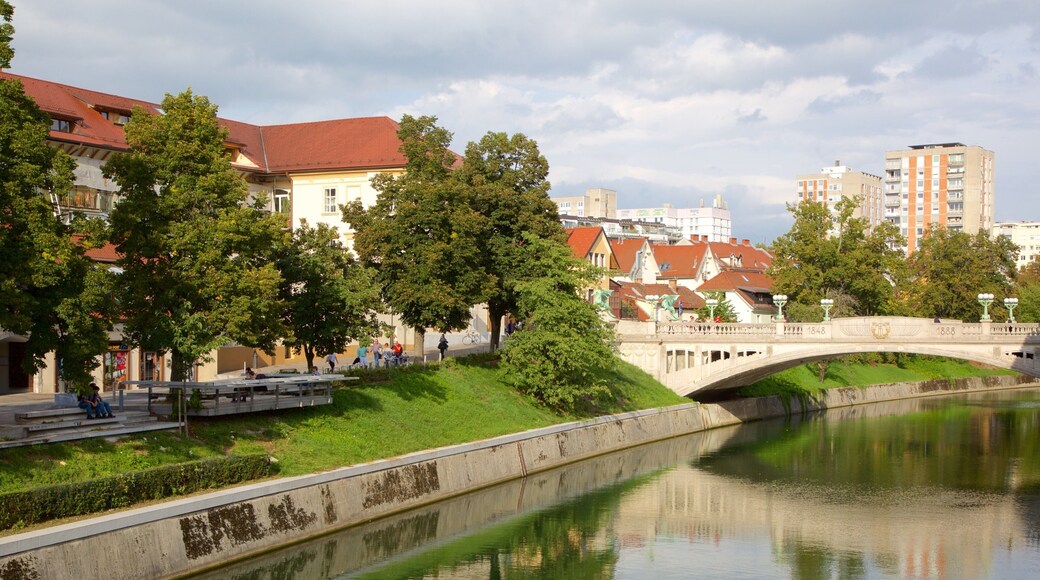 Puente del Dragón ofreciendo un río o arroyo, un puente y una ciudad