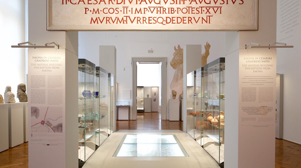 National Museum of Slovenia showing signage and interior views