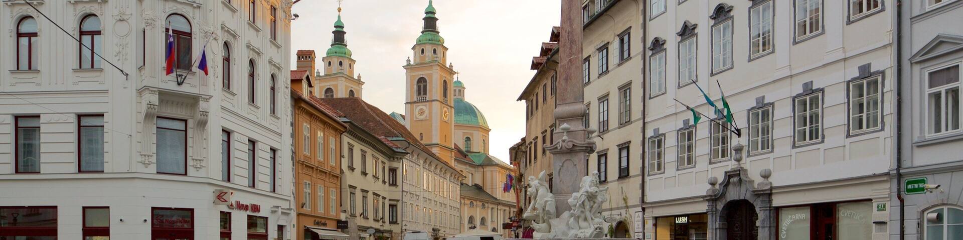 A historic square with ornate buildings, a fountain, and a church with a green dome.