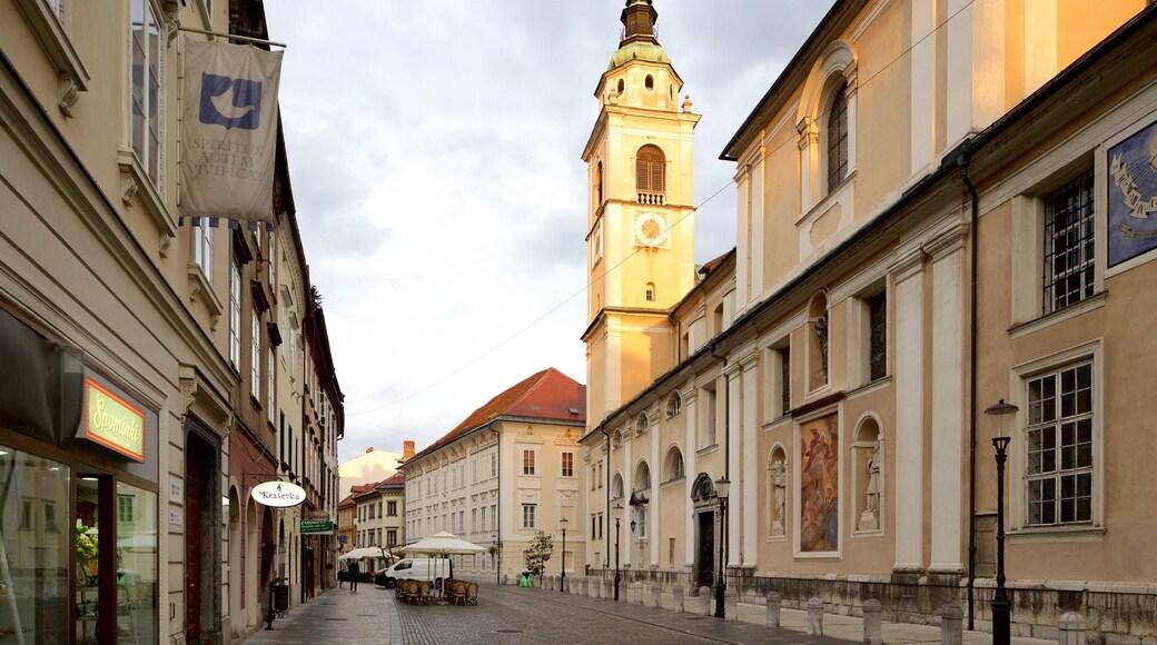 Catedral de San Nicolás mostrando una iglesia o catedral