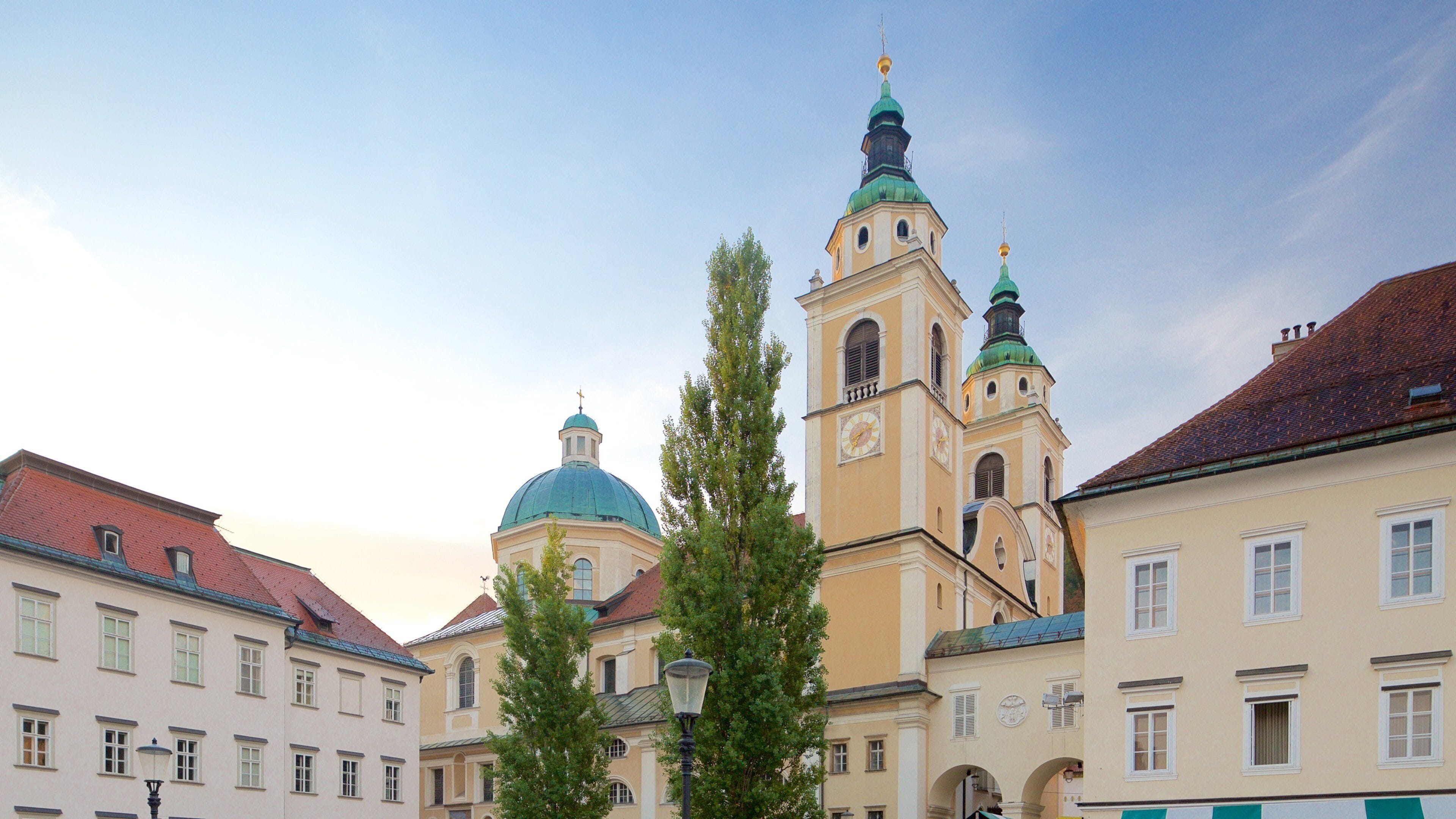 성 니콜라스 성당 이 포함 교회 또는 성당