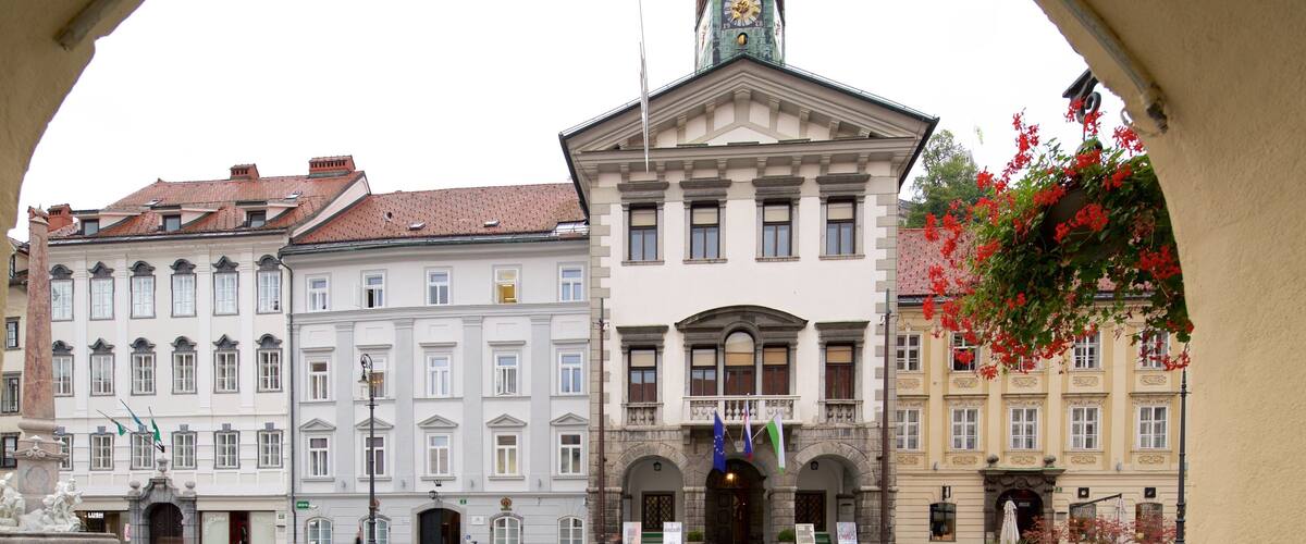 Ljubljana Town Hall which includes a square or plaza and a small town or village