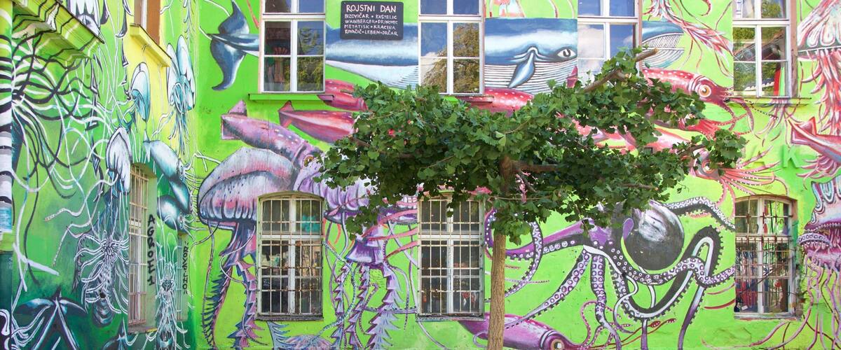 Metelkova ofreciendo una pequeña ciudad o pueblo y arte al aire libre