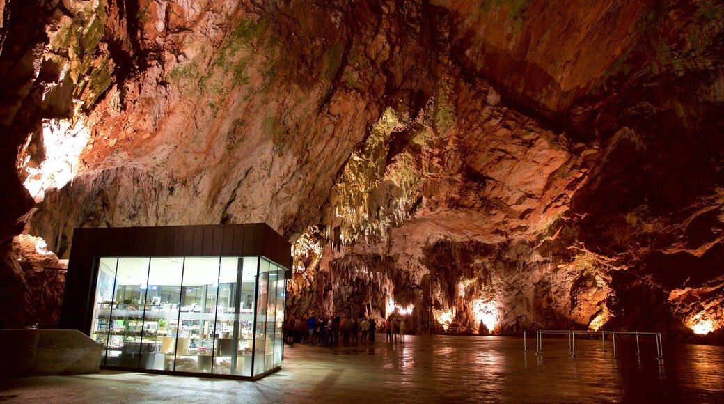 Postjona Caves which includes caves