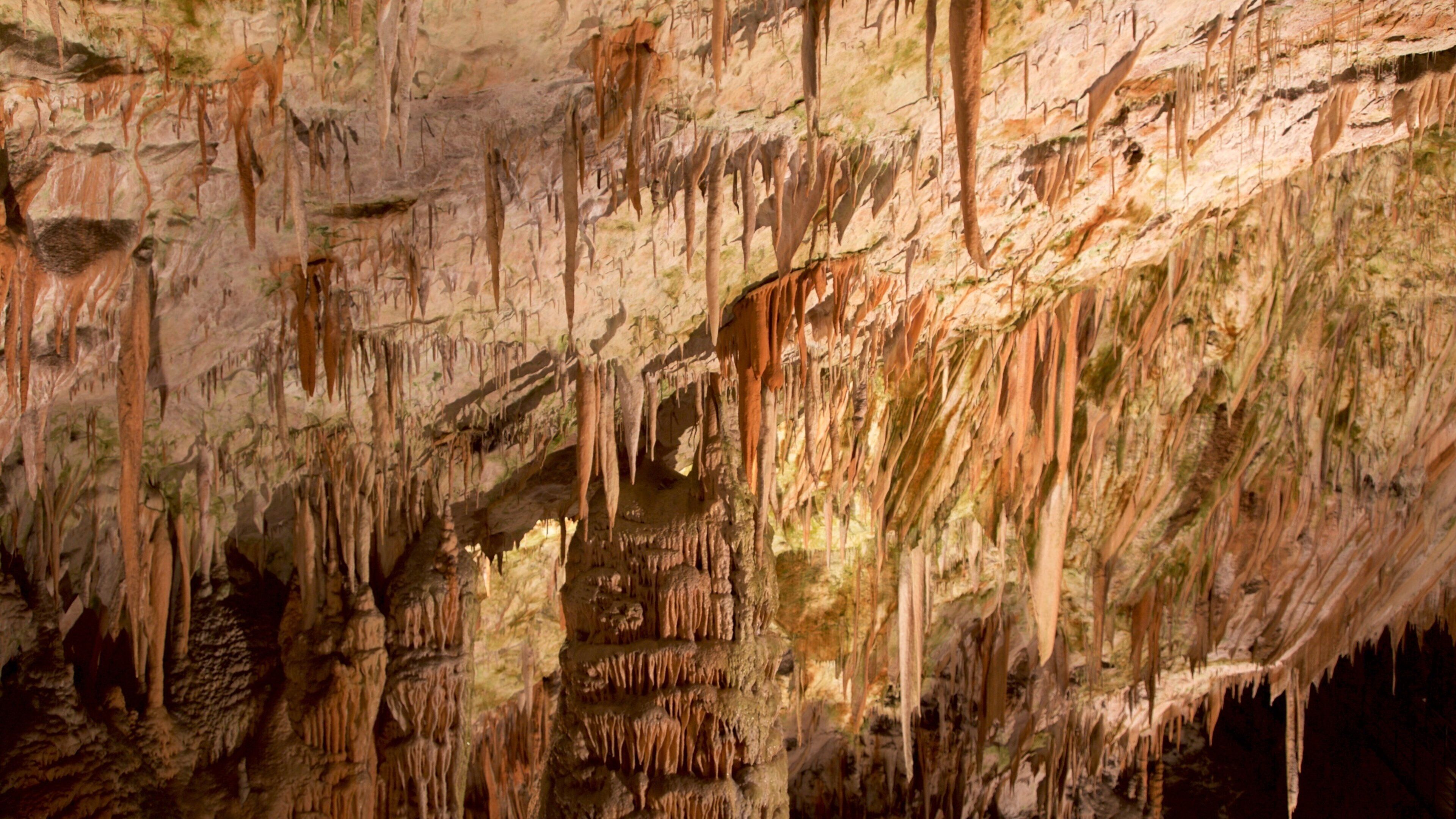 Postjona Caves which includes caves