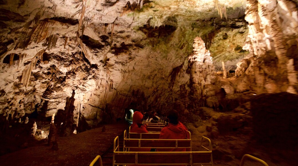 Cuevas de Postjona mostrando cuevas