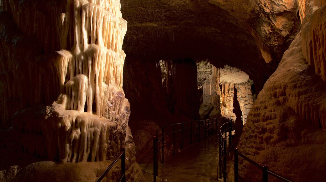 Postjonan luolat johon kuuluu luolat