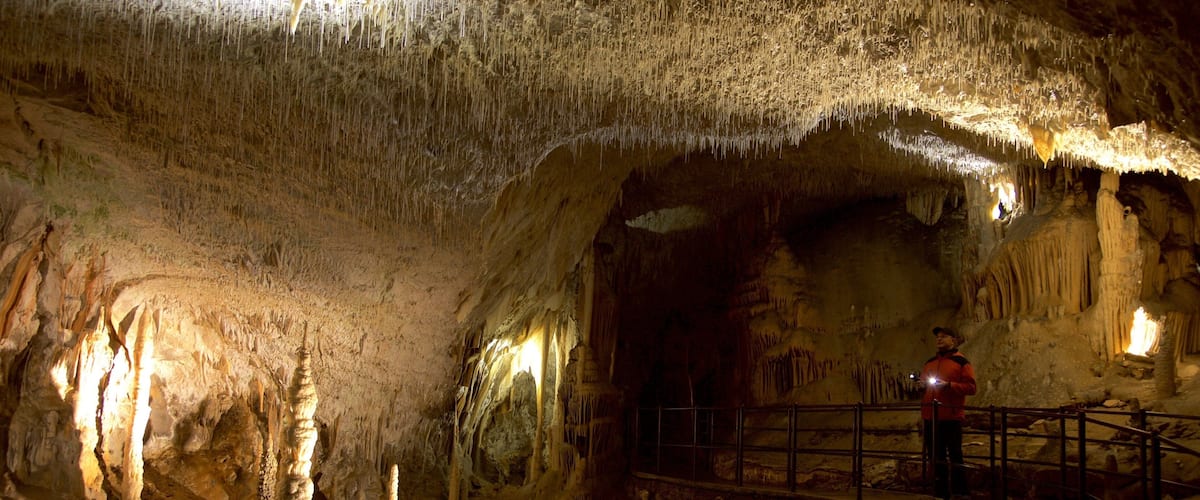 Cuevas de Postjona mostrando espeleología y cuevas y también un hombre