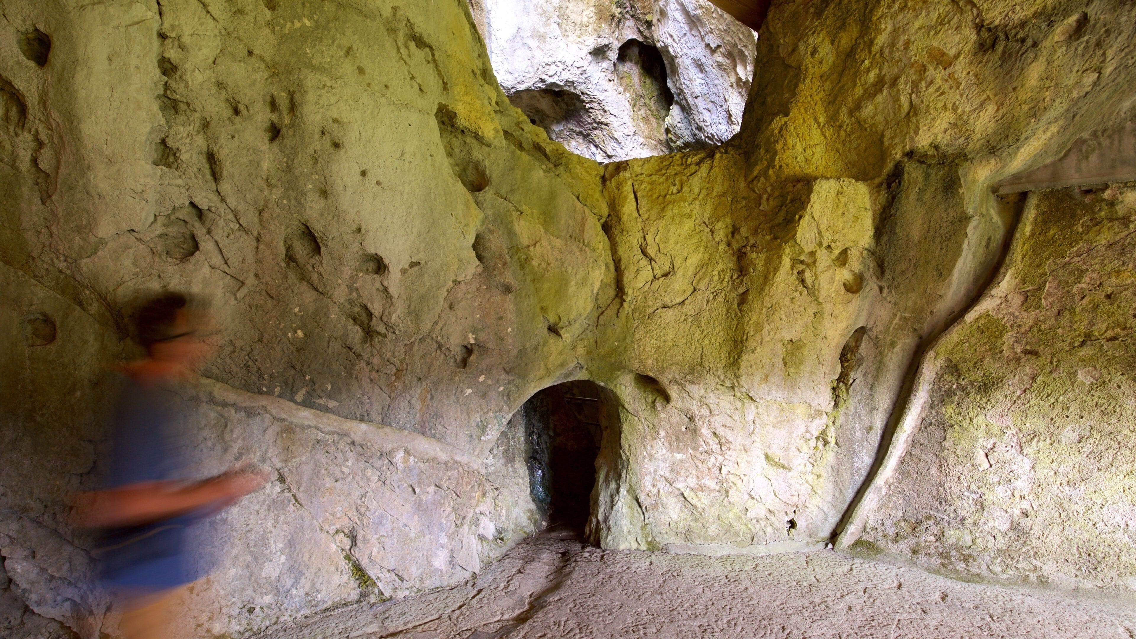 Predjama Castle qui includes château et vues intérieures