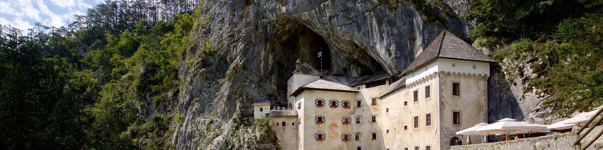 Predjama Castle showing a castle