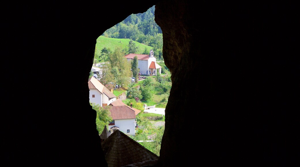 Predjama Castle showing interior views, a small town or village and caves