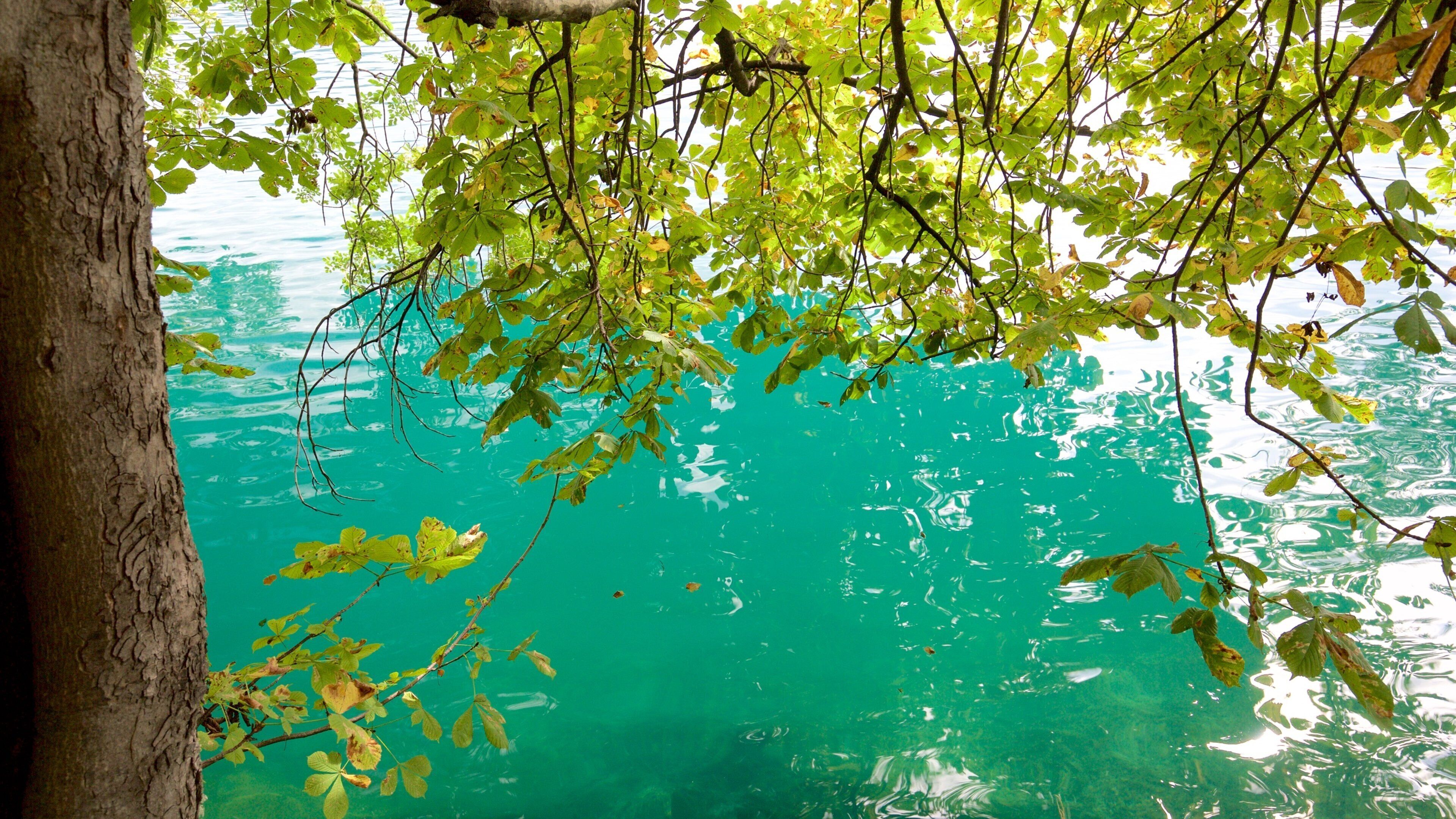 Lake Bled showing a lake or waterhole