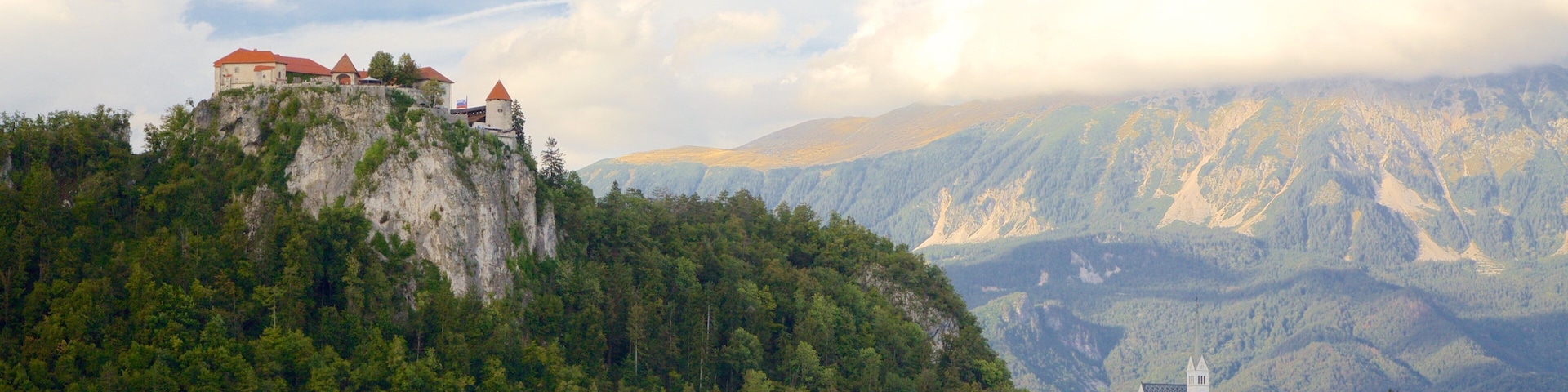 Lake Bled featuring forest scenes, a lake or waterhole and a small town or village
