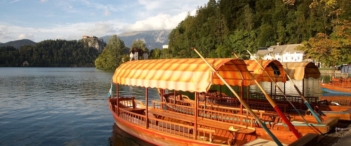 Lake Bled which includes general coastal views and boating