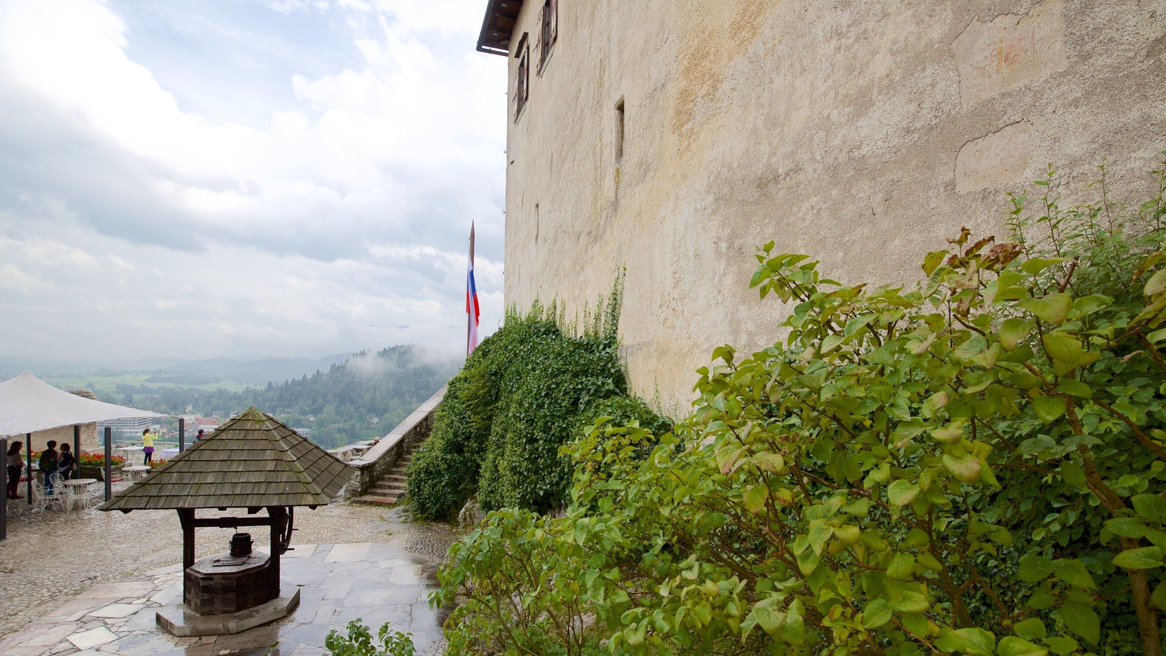 佈雷德城堡 呈现出 莊園或宮殿
