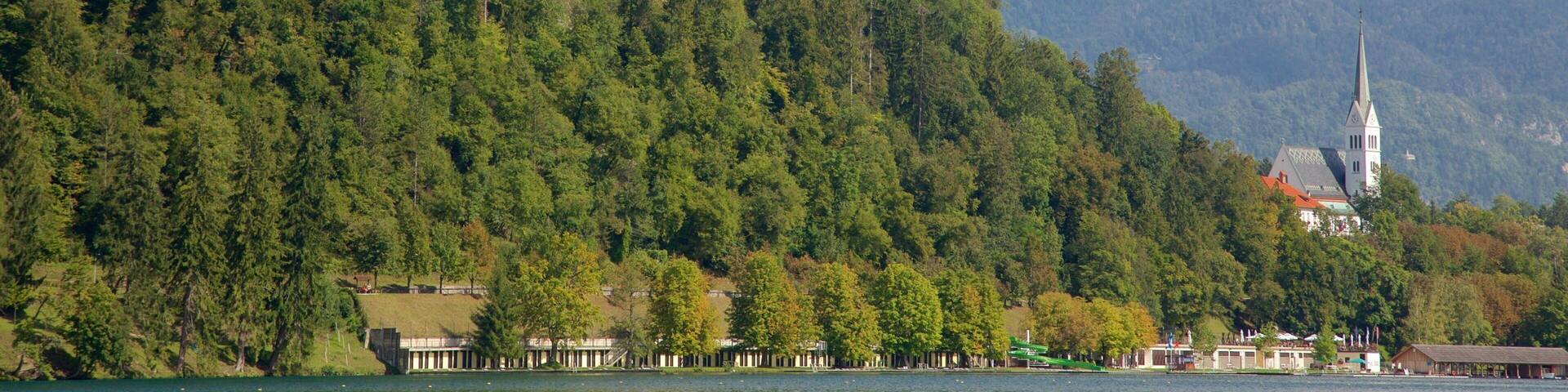Bled Castle showing chateau or palace, forest scenes and a small town or village