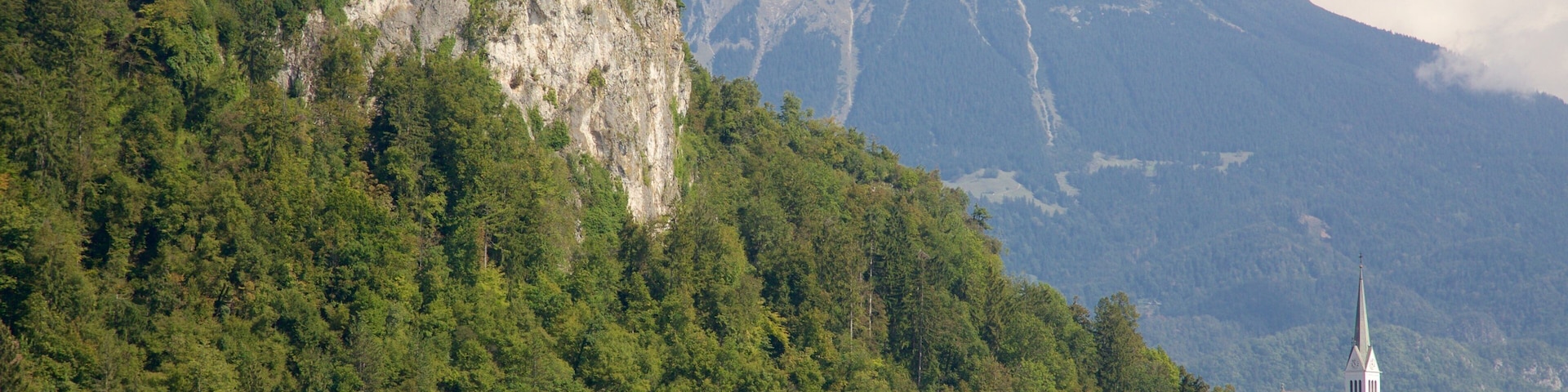 Bled Castle showing chateau or palace, forest scenes and a small town or village