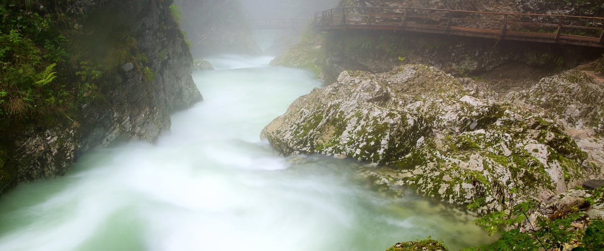 ๋นํธ๊ฐ๋ฅด ํ๊ณก ์ด ํฌํจ ๊ณ๊ณก ๋๋ ํ๊ณก ๊ณผ ์๊ฐ