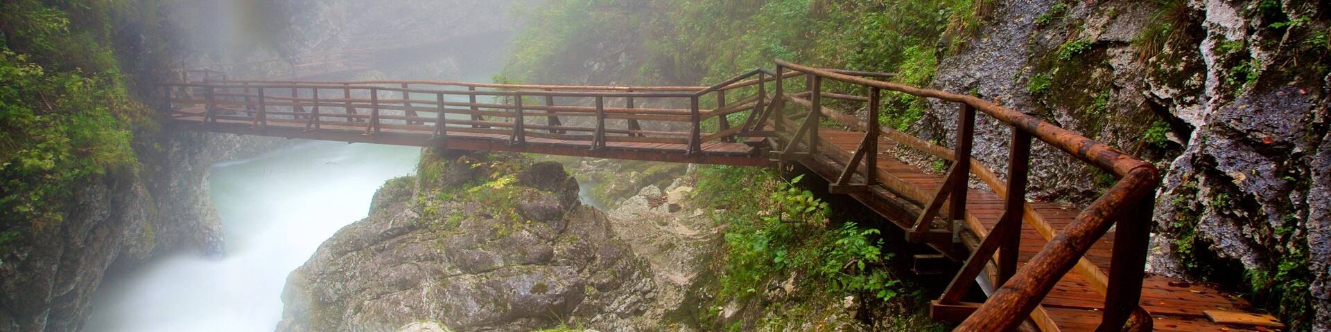 Vintgar Gorge das einen Schlucht oder Canyon, Nebel und Brücke