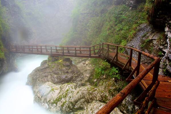 Vintgar Gorge qui includes gorge ou canyon, pont et brume ou brouillard