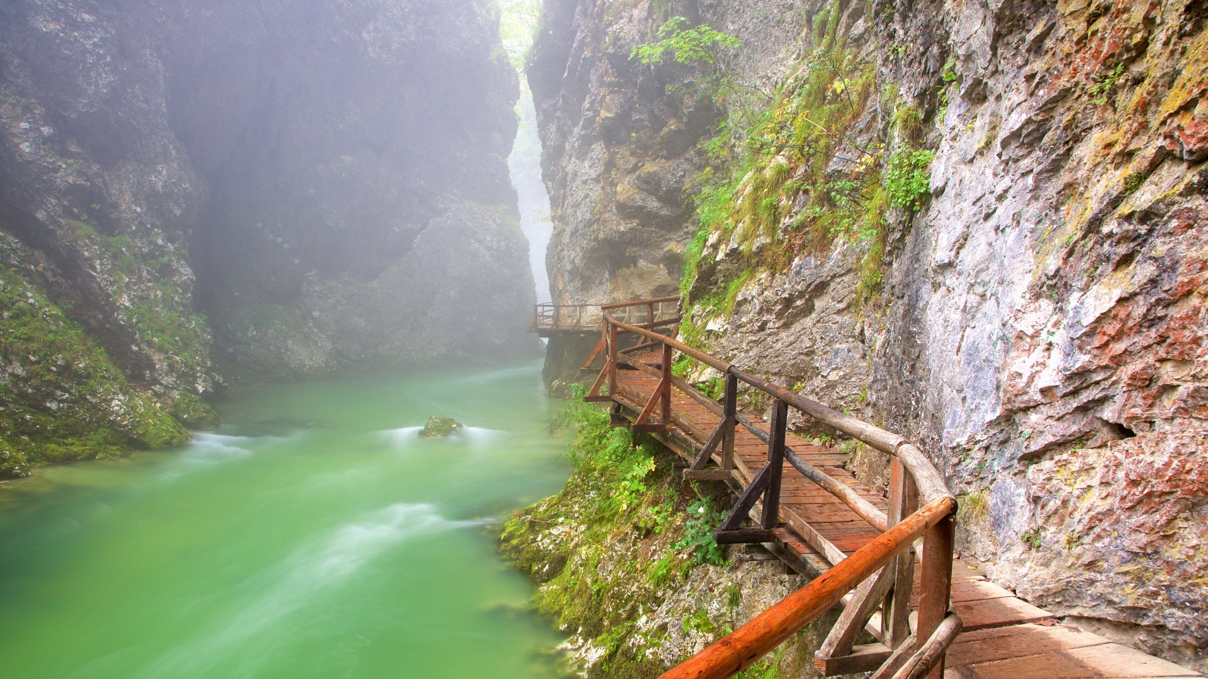 Vintgarin rotko johon kuuluu usvaa tai sumua ja rotko tai kanjoni