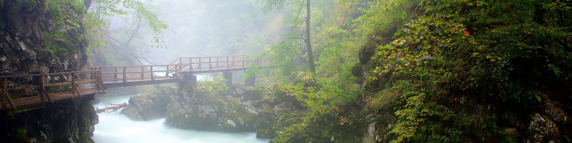 Vintgar Gorge caracterizando uma ponte, um desfiladeiro ou canyon e neblina