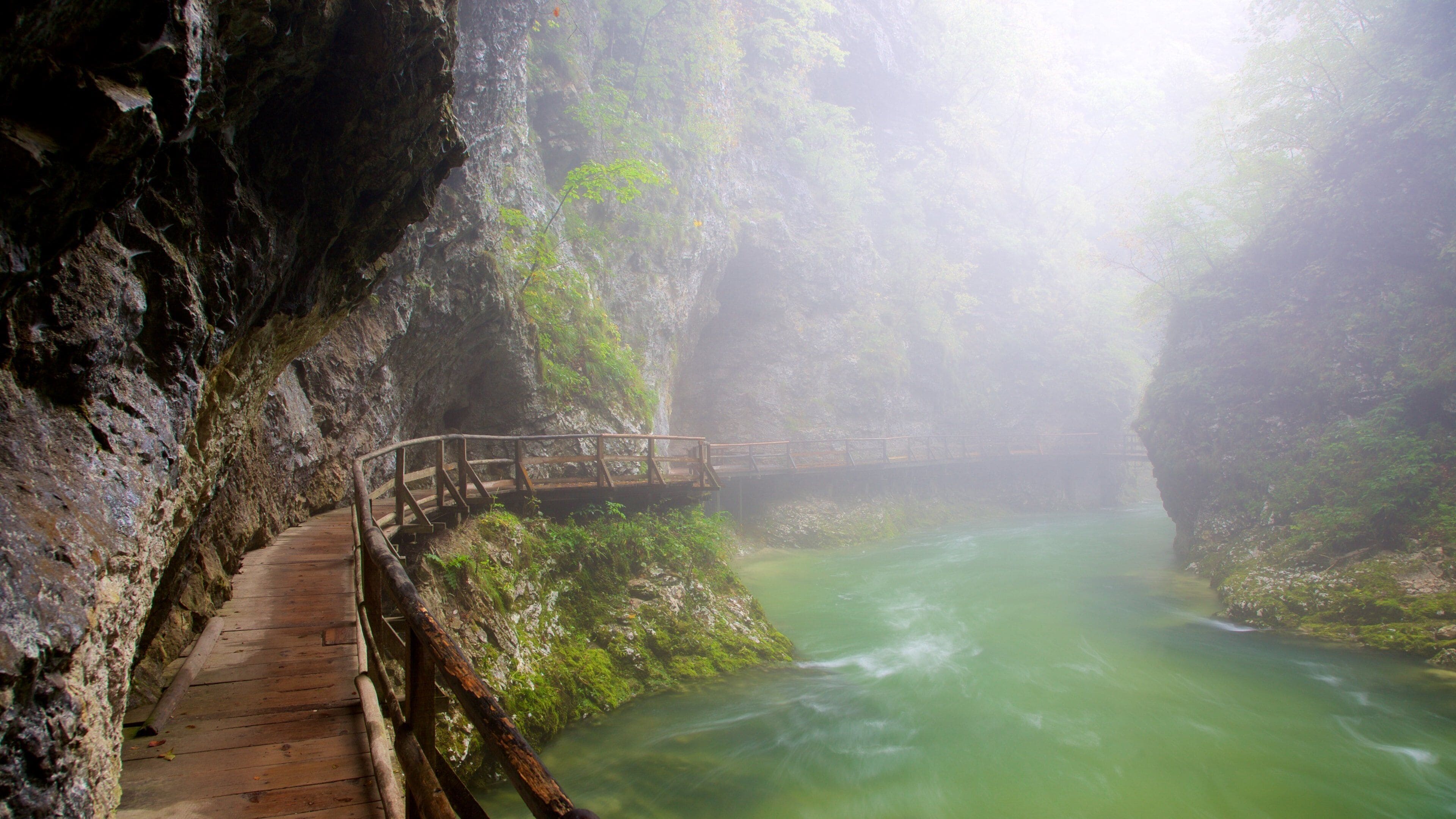 Vintgar Gorge qui includes forêt vierge, lac ou étang et rapides
