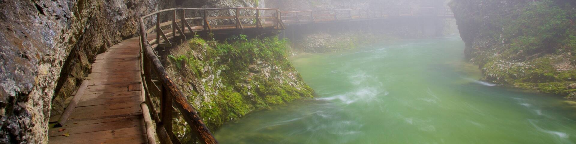 Vintgar Gorge which includes rapids, a lake or waterhole and rainforest