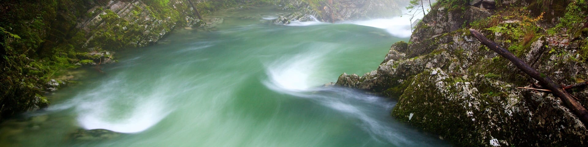 Vintgar Gorge showing rainforest, rapids and a lake or waterhole
