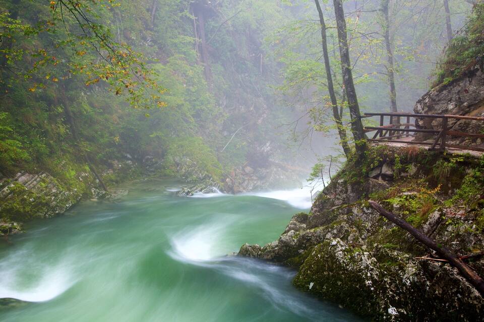 Um rio serpenteando por um desfiladeiro florestado, com uma ponte de madeira.