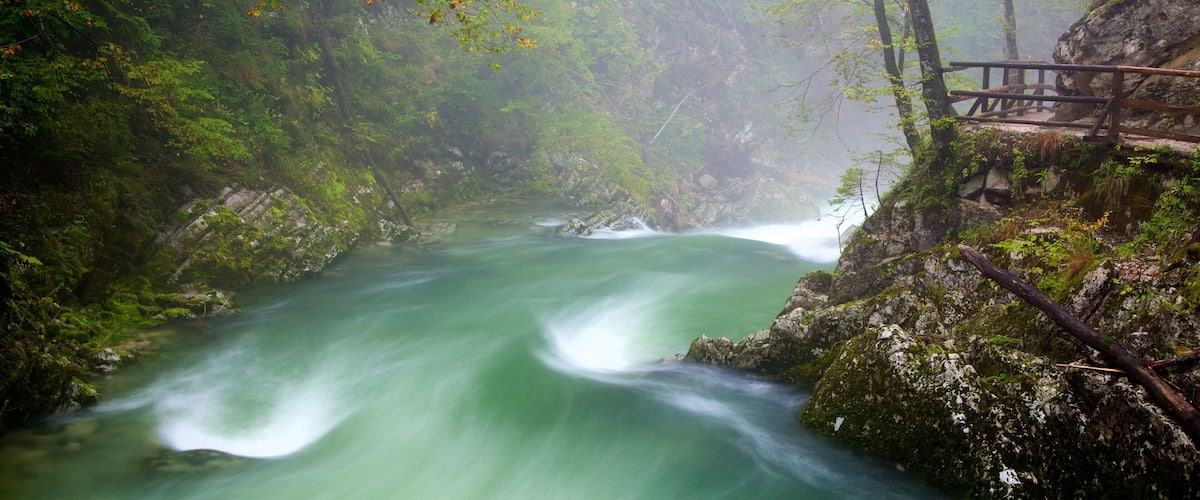 A river flowing through a forested gorge with a wooden bridge.