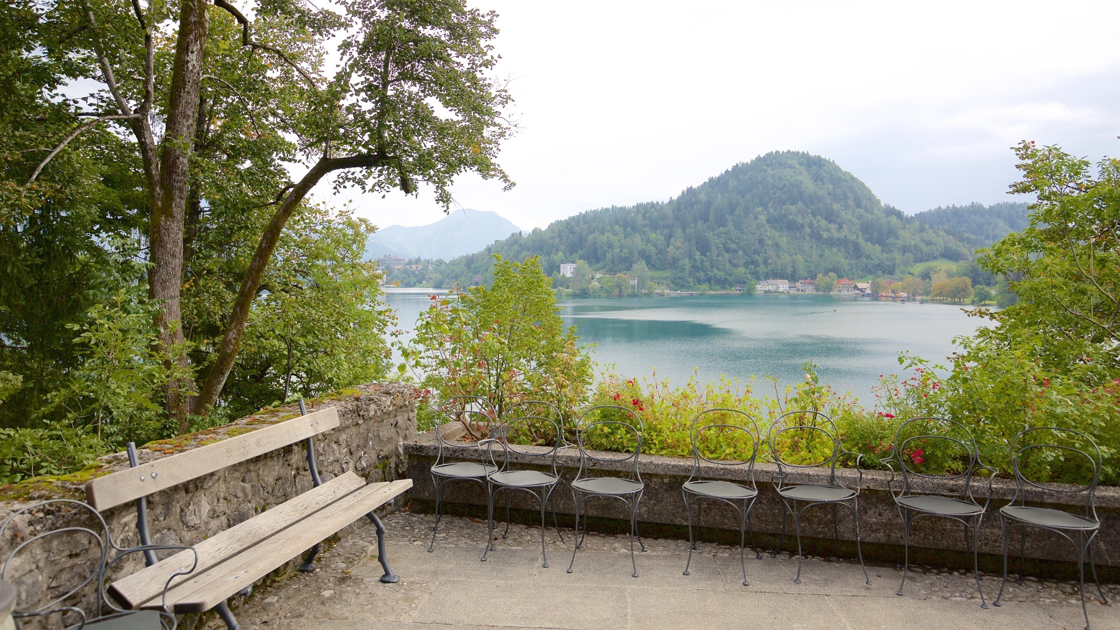 Church of Sv Marika Bozja showing a church or cathedral and a lake or waterhole